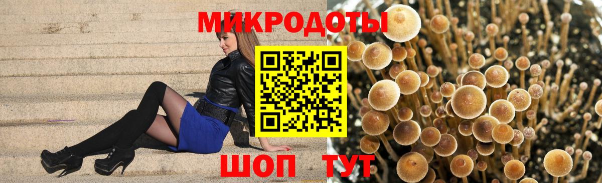Галлюциногенные грибы Psilocybe Воткинск