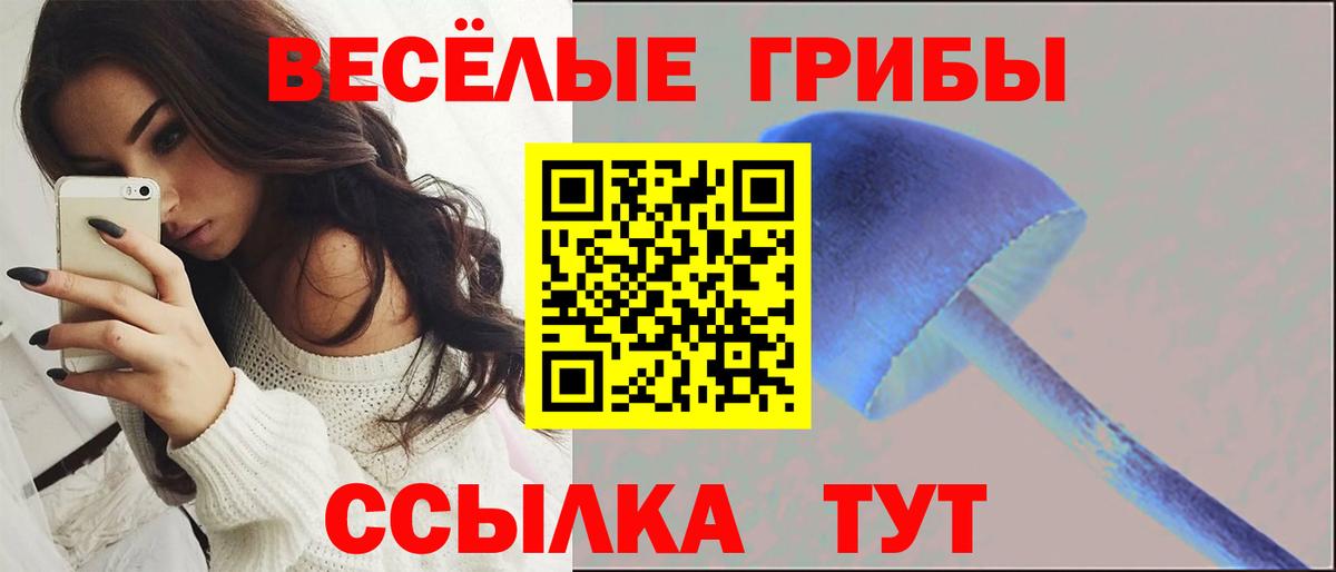Галлюциногенные грибы мицелий  Вход с VPN  Воткинск  Галлюциногенные грибы GOLDEN TEACHER 